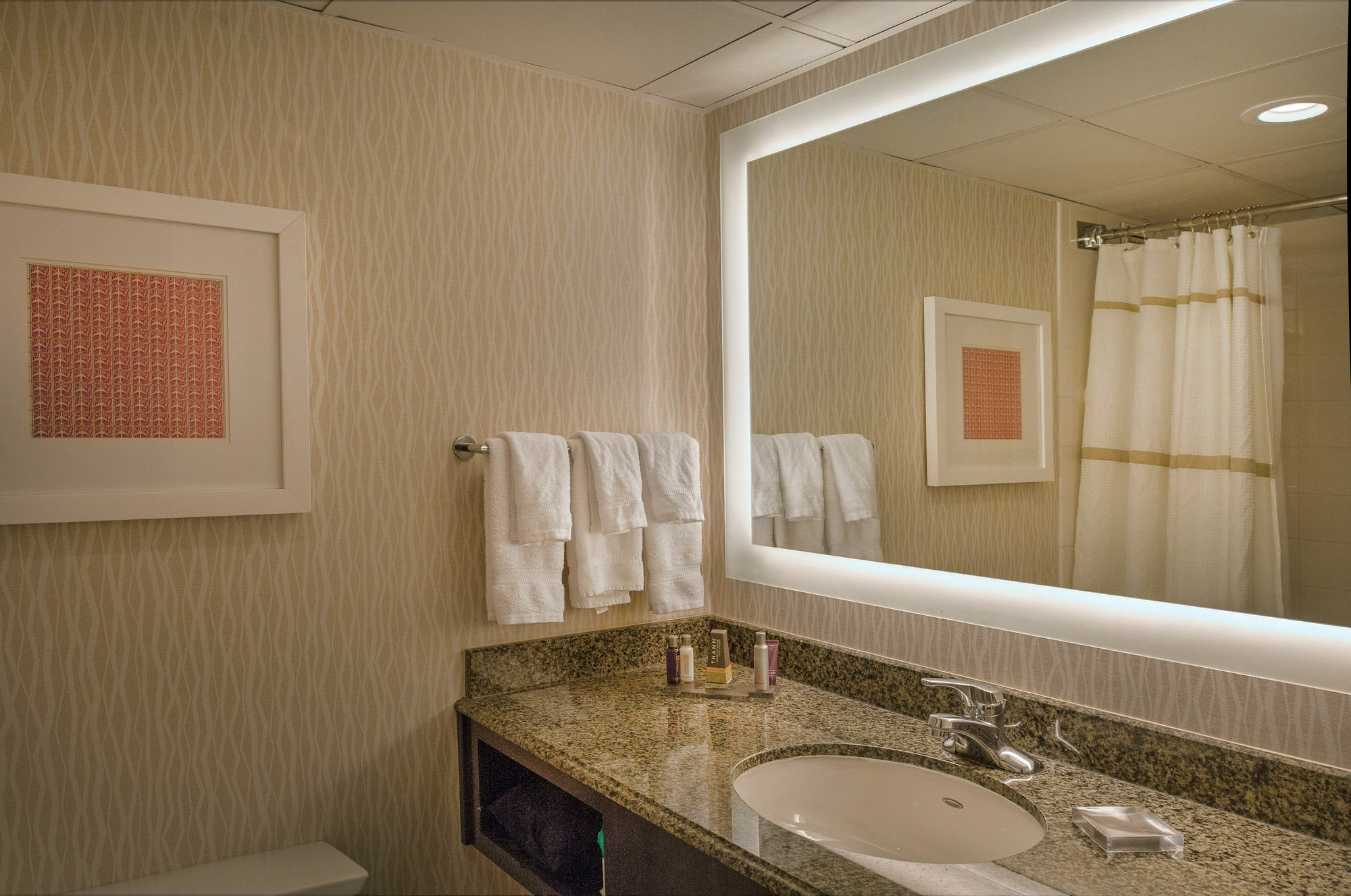 Marriott St. Louis Airport Ξενοδοχείο Edmundson Εξωτερικό φωτογραφία